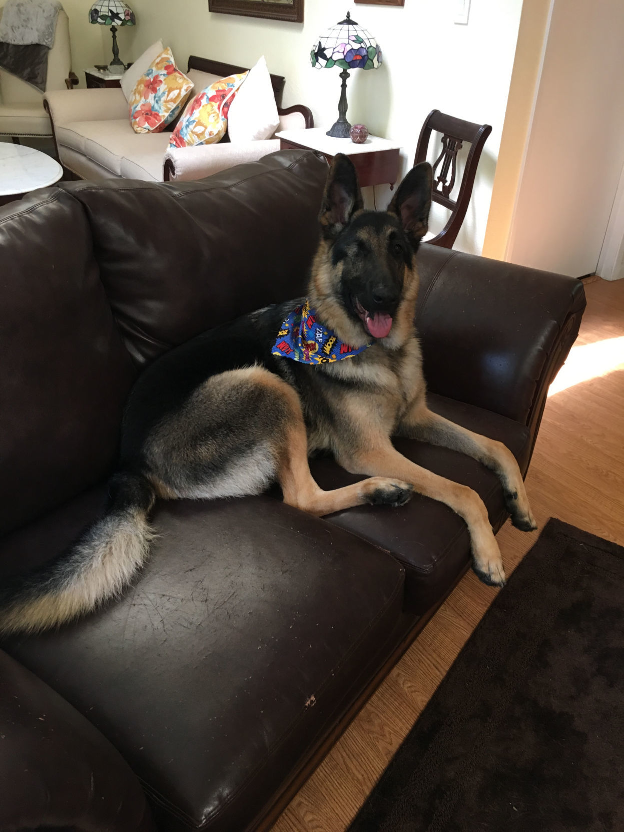 Pic of the Litter: Gunny Boy Garner